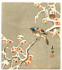 Biho Takahashi 1873-? - Bird on Snow Covered Berry Branch - artelino Art Auctions. Biho Takahashi 1873-? - Bird on Snow Covered Berry Branch