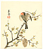 Biho Takahashi 1873-? - Bird on Branch - artelino Art Auctions. Biho Takahashi 1873-? - Bird on Branch