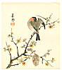 Biho Takahashi 1873-? - Bird on Branch - artelino Art Auctions. Biho Takahashi 1873-? - Bird on Branch