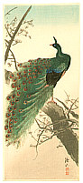 Sozan Ito 1884-? - Peacock - artelino Art Auctions. Sozan Ito 1884-? - Peacock