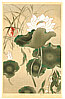 Sotatsu Tawaraya fl. ca. 1600-1643 - Lotus - Rimpa School Series - artelino Art Auctions. Sotatsu Tawaraya fl. ca. 1600-1643 - Lotus - Rimpa School Series