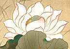 Sotatsu Tawaraya fl. ca. 1600-1643 - Lotus - Rimpa School Series - artelino Art Auctions. Sotatsu Tawaraya fl. ca. 1600-1643 - Lotus - Rimpa School Series