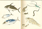 Masayoshi Kitao 1764-1824 - Sketches of Birds and Animals - Choju Ryakuga Shiki (e-hon book) - artelino Art Auctions. Masayoshi Kitao 1764-1824 - Sketches of Birds and Animals - Choju Ryakuga Shiki (e-hon book)