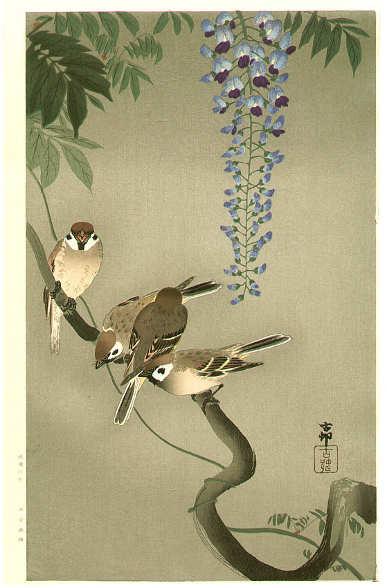 小原古邨: Sparrows and Wisteria (extra-large) - Artelino - 浮世絵検索