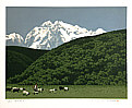 Li Yanpeng born 1958 - Shepherd at Snow Mountains