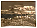 Li Yanpeng born 1958 - Afterglow