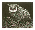 Koichi Sakamoto born 1932 - Cat Bird (limited edition) - artelino Art Auctions. Koichi Sakamoto born 1932 - Cat Bird (limited edition)