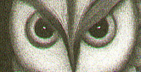 Koichi Sakamoto born 1932 - Cat Bird (limited edition) - artelino Art Auctions. Koichi Sakamoto born 1932 - Cat Bird (limited edition)