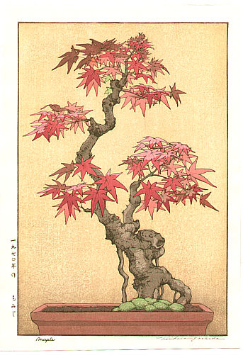 Tsukasa Yoshida born 1949 - Bonsai Maple - artelino Art Auctions. Tsukasa Yoshida born 1949 - Bonsai Maple