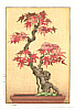 Tsukasa Yoshida born 1949 - Bonsai Maple - artelino Art Auctions. Tsukasa Yoshida born 1949 - Bonsai Maple