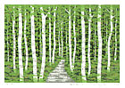 Fumio Fujita born 1933 - Forest Trail - D (Limited Edition) - artelino Art Auctions. Fumio Fujita born 1933 - Forest Trail - D (Limited Edition)