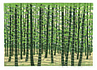 Fumio Fujita born 1933 - Bamboo Forest - E (Limited Edition) - artelino Art Auctions. Fumio Fujita born 1933 - Bamboo Forest - E (Limited Edition)