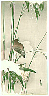 Catalog Gesso Yoshimoto