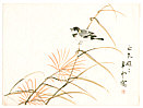 Suiun Komuro 1874-1945 - Bird on Autumn Weed - artelino Art Auctions. Suiun Komuro 1874-1945 - Bird on Autumn Weed