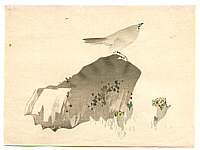 Unknown - Bird on a Rock - artelino Art Auctions. Unknown - Bird on a Rock