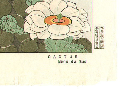 Paul Jacoulet 1902-1960 - Cactus - Mers du Sud - artelino Art Auctions. Paul Jacoulet 1902-1960 - Cactus - Mers du Sud