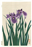 Nisaburo Ito 1910-1988 - Iris - artelino Art Auctions. Nisaburo Ito 1910-1988 - Iris