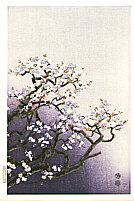Eiichi Kotozuka 1906-1979 - Cherry Blossoms - artelino Art Auctions. Eiichi Kotozuka 1906-1979 - Cherry Blossoms