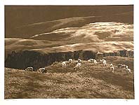 Li Yanpeng born 1958 - Afterglow