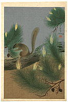 Bakufu Ono 1888-1976 - Squirrel - artelino Art Auctions. Bakufu Ono 1888-1976 - Squirrel
