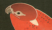 Jakuchu Ito 1715-1800 - Fantasy Red Bird - artelino Art Auctions. Jakuchu Ito 1715-1800 - Fantasy Red Bird