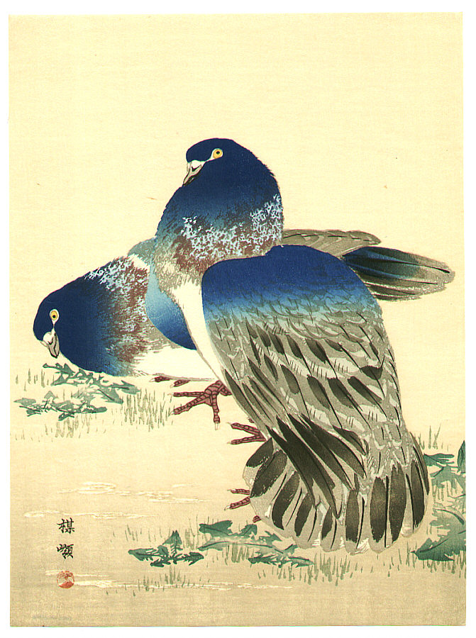 幸野楳嶺: Blue Pigeons - Artelino - 浮世絵検索