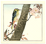 Seiko active ca. 1890 - 1900 - Wood Pecker - artelino Art Auctions. Seiko active ca. 1890 - 1900 - Wood Pecker