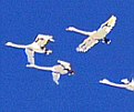 Chen Yuping born 1947 - Faraway Sky