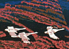 Chen Yuping born 1947 - The Lofty Xing'an Mountains