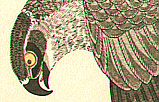 Utamaro Kitagawa 1750-1806 - Hawk and Shrike - artelino Art Auctions. Utamaro Kitagawa 1750-1806 - Hawk and Shrike