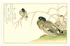 Utamaro Kitagawa 1750-1806 - Mallard and Kingfisher - artelino Art Auctions. Utamaro Kitagawa 1750-1806 - Mallard and Kingfisher