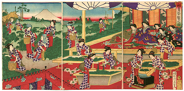 Chikanobu Toyohara 1838-1912 - Culturing Tea - artelino Art Auctions. Chikanobu Toyohara 1838-1912 - Culturing Tea