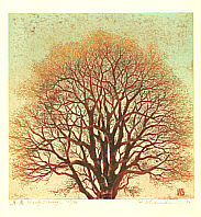 Catalog Hajime Namiki born 1947 - artelino