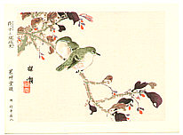 Bairei Kono 1844-1895 - Japanese White Eye and Nishikigi - artelino Art Auctions. Bairei Kono 1844-1895 - Japanese White Eye and Nishikigi