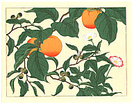 Hoitsu Sakai 1761-1828 - Persimmons and Flowers - artelino Art Auctions. Hoitsu Sakai 1761-1828 - Persimmons and Flowers