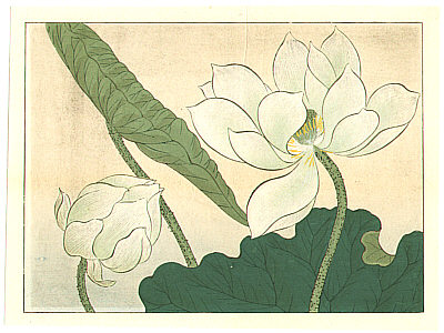Hoitsu Sakai 1761-1828 - Lilies and Lotus - Two oban sheets - artelino Art Auctions. Hoitsu Sakai 1761-1828 - Lilies and Lotus - Two oban sheets