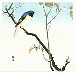 Seiko active ca. 1890 - 1900 - Blue Bird on a Branch - artelino Art Auctions. Seiko active ca. 1890 - 1900 - Blue Bird on a Branch
