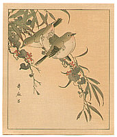 Utamaro Kitagawa 1750-1806 - Japanese White Eye - artelino Art Auctions. Utamaro Kitagawa 1750-1806 - Japanese White Eye