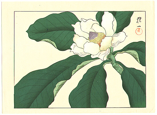 Hoitsu Sakai 1761-1828 - Magnolia - artelino Art Auctions. Hoitsu Sakai 1761-1828 - Magnolia