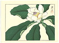 Hoitsu Sakai 1761-1828 - Magnolia - artelino Art Auctions. Hoitsu Sakai 1761-1828 - Magnolia