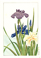 Hodo Nishimura active 1930s - Iris - artelino Art Auctions. Hodo Nishimura active 1930s - Iris