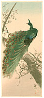 Sozan Ito 1884-? - Peacock - artelino Art Auctions. Sozan Ito 1884-? - Peacock
