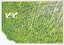Zheng Zijiang born 1965 - Willows in Spring Wind