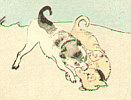 Shuntei Miyagawa 1873-1914 - Puppies in the Snow - Yukiyo no Hana - artelino Art Auctions. Shuntei Miyagawa 1873-1914 - Puppies in the Snow - Yukiyo no Hana