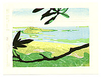 Tom Kristensen born 1962 - 36 Views of Green Island - 1