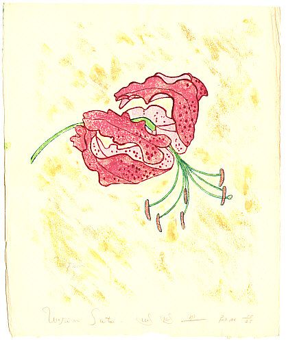 Wajin Sato fl.ca. 20th C. - Lily