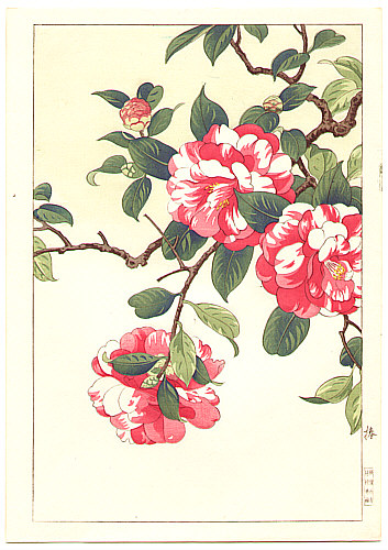 Hodo Nishimura active 1930s - Camellia - artelino Art Auctions. Hodo Nishimura active 1930s - Camellia
