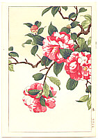 Hodo Nishimura active 1930s - Camellia - artelino Art Auctions. Hodo Nishimura active 1930s - Camellia