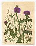 Sumio Kawakami 1895-1972 - Thistle - Sosaku Hanga Flowers - artelino Art Auctions. Sumio Kawakami 1895-1972 - Thistle - Sosaku Hanga Flowers