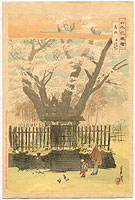 Gekko Ogata 1859-1920 - Ancient Cherry Tree - Flowers of Japan - artelino Art Auctions. Gekko Ogata 1859-1920 - Ancient Cherry Tree - Flowers of Japan